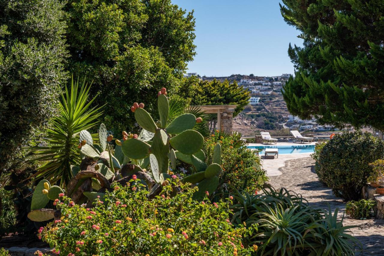 Yalos Mykonos Ornos Pouli Private Apartments W Shared Swimming Pool Mykonos Town Экстерьер фото